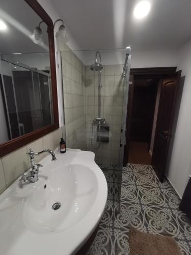 a bathroom with a white sink and a shower at Yellow House in Bran
