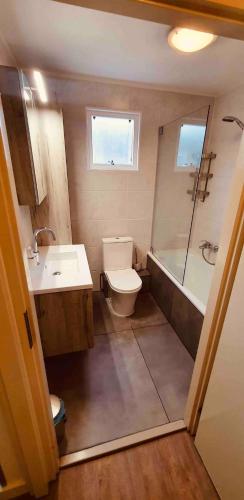 a bathroom with a toilet and a sink and a shower at Amelanderkaap 31 met zwembad in Hollum