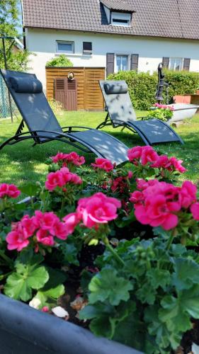 Jardín al aire libre en Gite Au pommier fleuri et son "Appart" indépendant