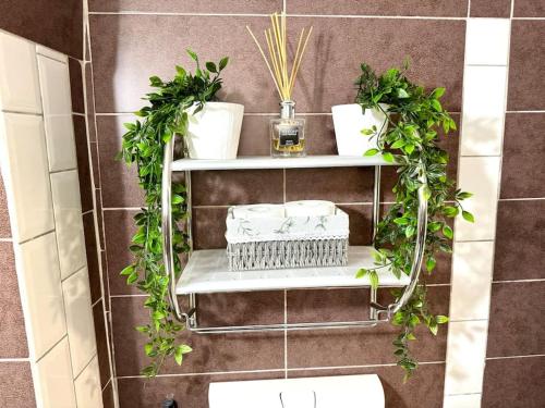 un estante en un baño con plantas. en FLH - Transylvania home, en Sibiu