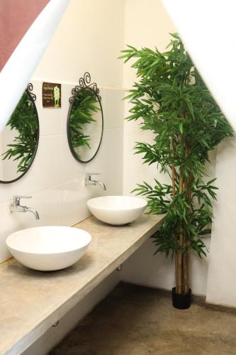 two sinks in a bathroom with two mirrors and a plant at Suite 18 Boutique Hotel in Kuala Terengganu