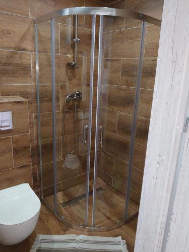 a shower stall in a bathroom with a toilet at Domki letniskowe i pokoje u Katarzyny in Ustronie Morskie