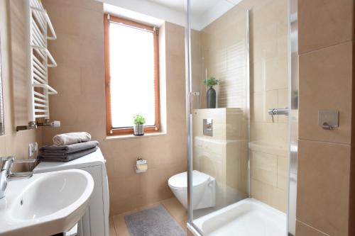 een badkamer met een wastafel, een toilet en een douche bij SkiApartment - Apartamenty Pod Śnieżką in Karpacz