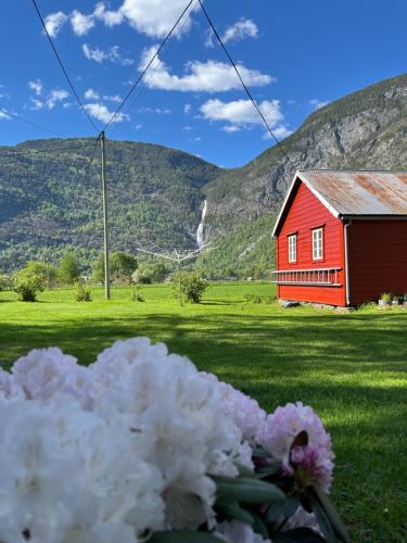 Billede fra billedgalleriet på Hagusane Feriehus i Lærdalsøyri