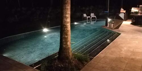 una piscina con palmeras y luces en 生活就是壽豐Villa民宿, en Guangrong