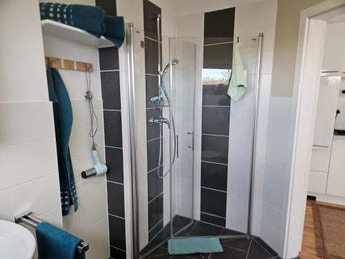 a shower with a glass door in a bathroom at Fewo Schwäbische Eisenbahn in Meckenbeuren