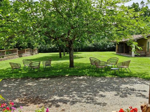 eine Gruppe von Tischen und Stühlen unter einem Baum in der Unterkunft Domaine Le Clos du Figuier Spa in Verdun-sur-Garonne