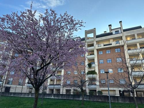 un árbol florido frente a un edificio en Cozy suite with terrace, en Castellanza