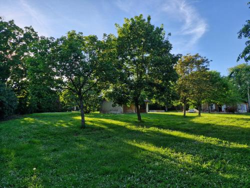 two trees in a field of green grass at Domaine Le Clos du Figuier Spa Grisolles in Verdun-sur-Garonne