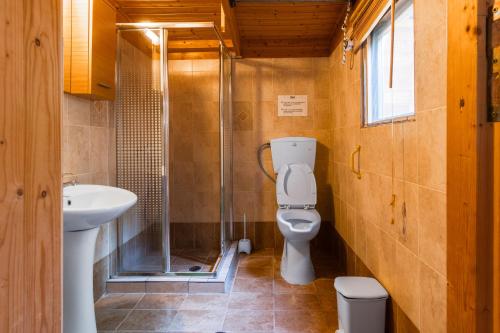 a bathroom with a toilet and a sink and a shower at Zeus-Village οικισμός φινλανδικών chalet με πισίνες & γυμναστήριο in Mólos