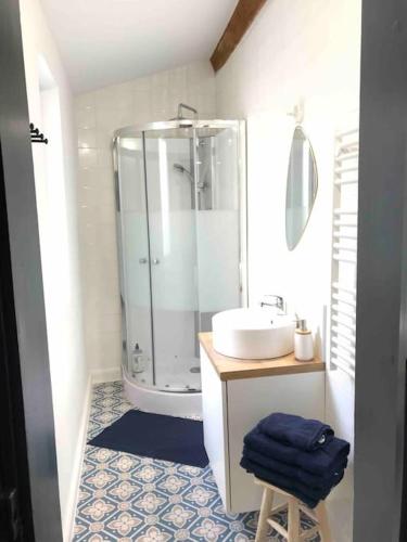 une salle de bain avec douche et lavabo dans l'établissement Grand appartement en maison de ville, à Valréas