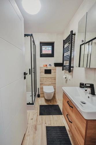 a bathroom with a sink and a toilet in it at Chce się być in Ślesin