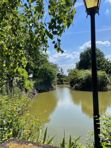a street light next to a river with trees at Le Chalet de L'Orée du Morvan in Montberthault