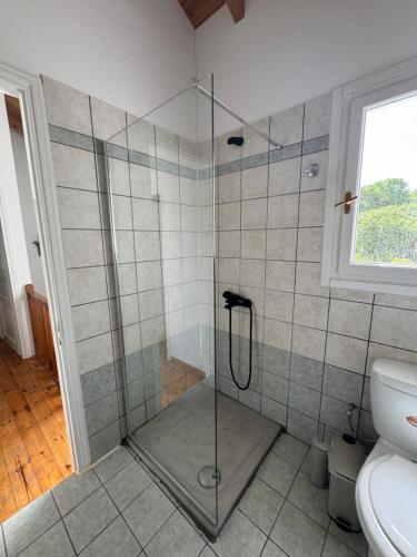 A bathroom at Regina Villa