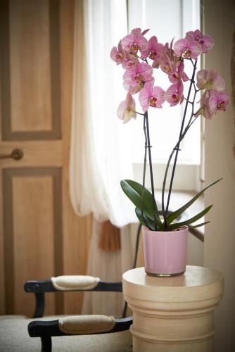 a potted plant sitting on top of a table at Pamperduto Country Resort in Porto Potenza Picena