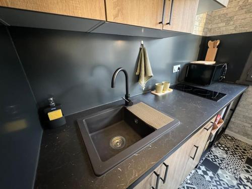 Il comprend une cuisine équipée d'un évier et d'une cuisinière. dans l'établissement Le Bouchon - Appartement Cosy - Wifi, à Talence