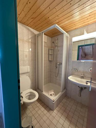 Touristenheim Bergfreude في لوكرباد: حمام مع مرحاض ودش ومغسلة