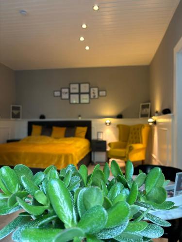 Urban-Elegance Silent-Garden