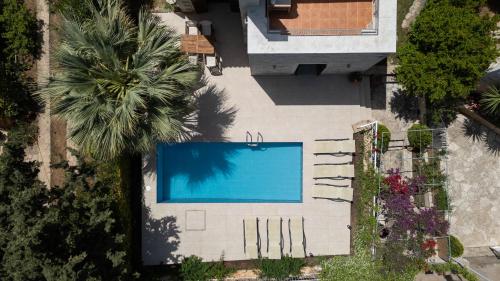 an overhead view of a swimming pool with a palm tree at Aloe & Lotus Villas in Prinés
