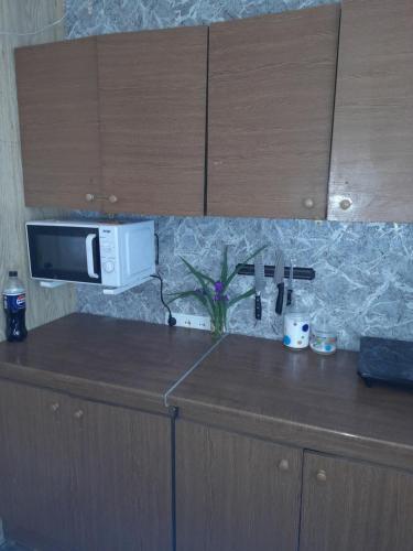 a microwave on top of a counter in a kitchen at Eva Hostel in Kyiv