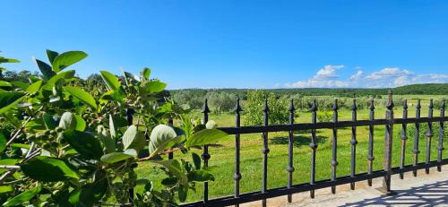 Gallery image of Apartments Vesna with Pool - NEW! in Sveti Lovreč Pazenatički
