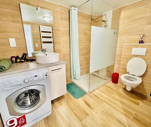 une salle de bain avec machine à laver et toilettes dans l'établissement Red Rose of Summer-Garden Flat 60m2-Geneva & Lake & Mountains-Wilena Home,Full Love, à Chens-sur-Léman