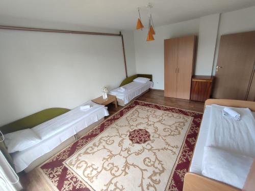sala de estar con 2 camas y alfombra en Sarajevo Paradise, en Sarajevo
