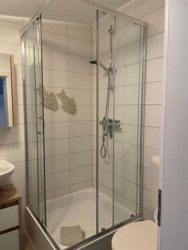 uma cabina de duche em vidro numa casa de banho com WC em Juro em Pruchten