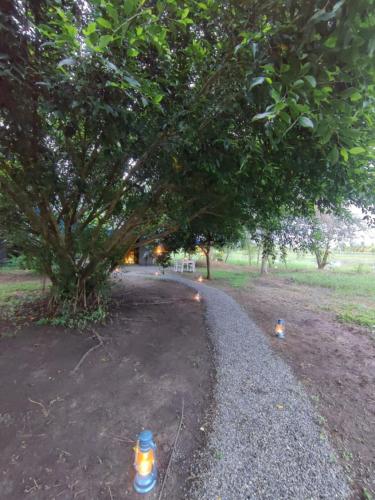 two fire hydrants sitting in the dirt under a tree at Harmony Haven, Udawalawe, Sri Lanka in Udawalawe