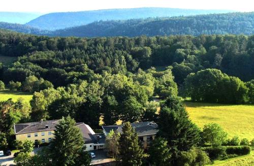 an aerial view of a house in a field with trees at Haus im Herrengrund in Schollbrunn