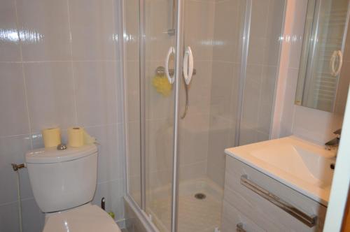 une salle de bain avec une douche, des toilettes et un lavabo dans l'établissement maisonnette saint georges de didonne, à Saint-Georges-de-Didonne