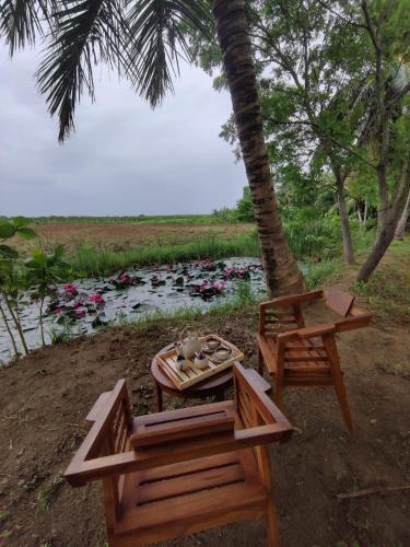 a picnic table and chairs next to a body of water at Harmony Haven, Udawalawe, Sri Lanka in Udawalawe