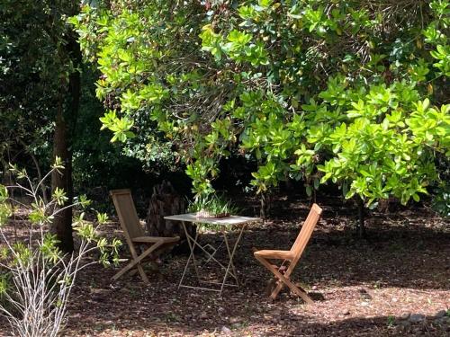 a table and two chairs in a yard with trees at Douceur des Pins in Saint-Trojan-les-Bains