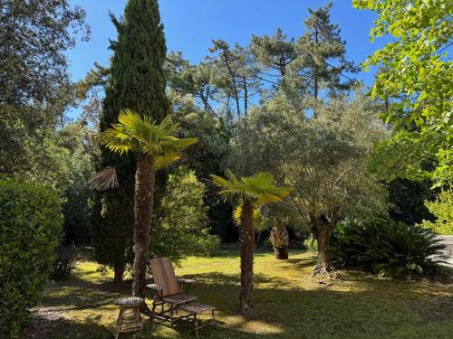 a park with two palm trees and a bench at Douceur des Pins in Saint-Trojan-les-Bains