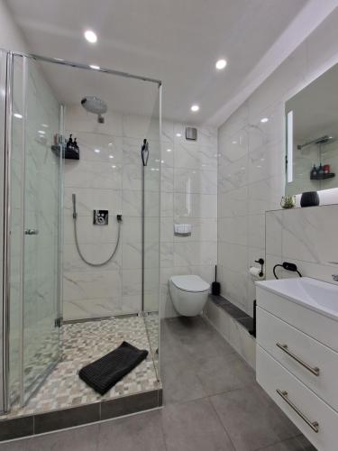 a bathroom with a shower and a toilet and a sink at Sweet Retreat Apartment Lahr in Lahr