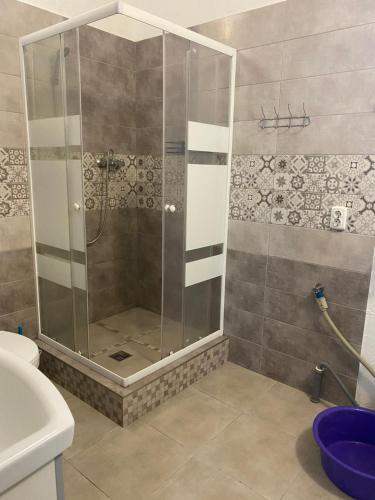 a shower with a glass door in a bathroom at Будинок для відпочинку Dana in Berehove