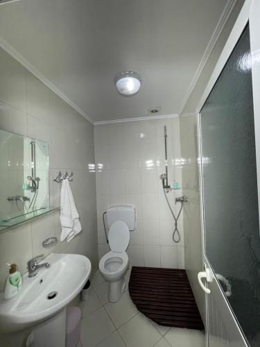 uma casa de banho com um chuveiro, um WC e um lavatório. em Kompleksi Zorgji em Theth