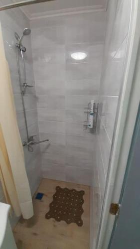 a bathroom with a shower with a glass door at Apartment Vecliepaja in Liepāja
