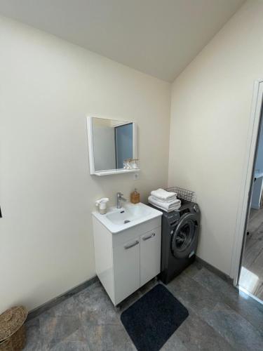 a laundry room with a washing machine and a sink at Apartment 5 confort&modern in Arad