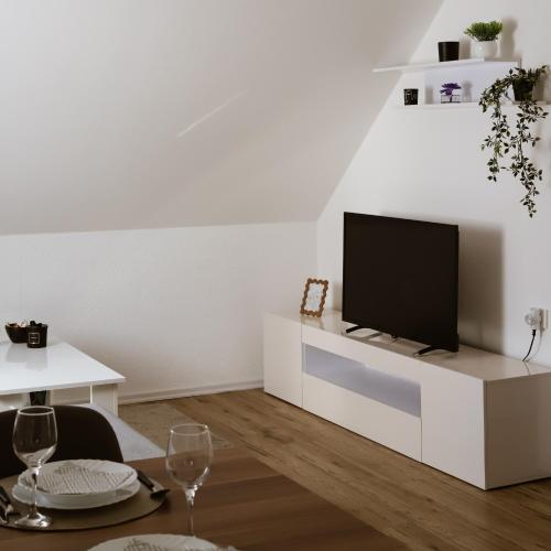 Μια τηλεόραση ή/και κέντρο ψυχαγωγίας στο Apartman BUCO