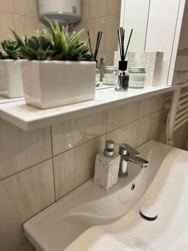 Castelli Apartment Umag