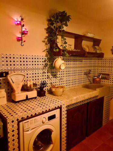 a kitchen with a washing machine on a counter at Il sogno del capitano in Pieve Ligure