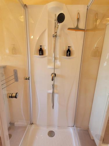 a shower with a glass door in a bathroom at Ferienwohnung im Haus Waldblick in Nonnweiler