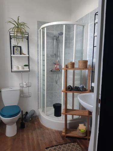 a bathroom with a shower and a toilet and a sink at La maison Benastre in Saint-Étienne-de-Corcoué