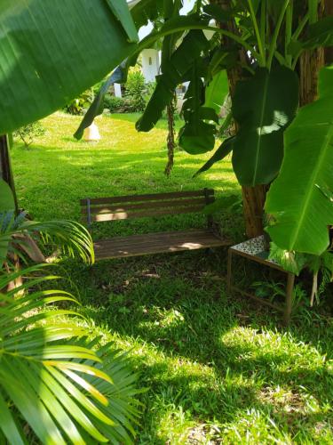 a park bench under a tree in the grass at Vanille & Goyavier in Saint-Philippe