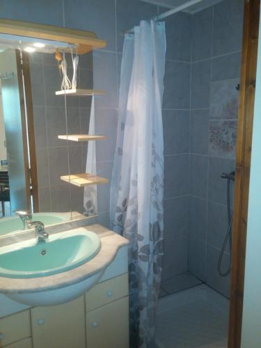 une salle de bain avec un lavabo et une douche dans l'établissement T1 47m2 + Jardin 60m2, à La Teste-de-Buch