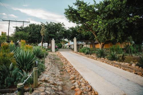 Κήπος έξω από το Addo Alkham Lodge
