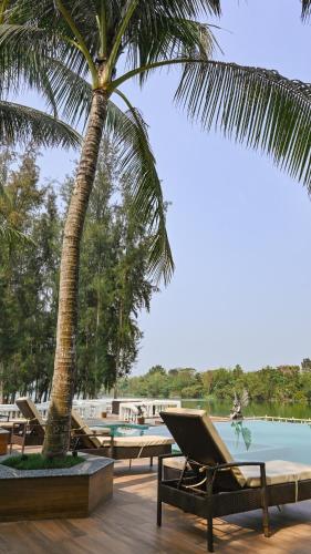 a palm tree sitting next to a swimming pool at Damodar River Retreat, Uluberia in Uluberiya