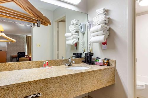 ein Badezimmer mit einem Waschbecken, einem Spiegel und Handtüchern in der Unterkunft Econo Lodge in Creedmoor