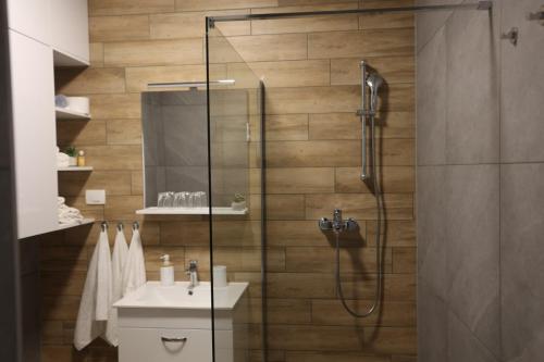 a bathroom with a shower and a sink at Apartmani Royal Osijek in Osijek